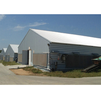 Maison de volaille à structure en acier de haute qualité robuste et ventilé pour l'élevage de poulets de chair poules de chair