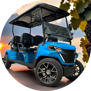 Smart Brands 5000W Offroad Protector Street Legal Voiturette de golf électrique 2 + 2 places Electric Club Car - Product Image 5