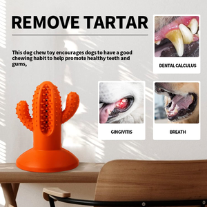 AFP <strong>Wholesale</strong> Nylon Rubber Dog <strong>Chew</strong> Cactus Bone Sticks <strong>Durable</strong> TPR Dental Teeth Clean <strong>Pet</strong> <strong>Chew</strong> <strong>Toys</strong> for Long-lasting Chewing Fun - Product Image 6