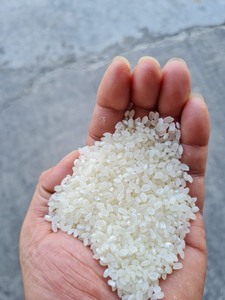 Arroz pegajoso redondo de grano corto Japonice arroz de sushi secado suave de molino Al Por Mayor Riz Arroz - Product Image 5