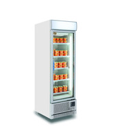 Réfrigérateur-Vitrine Verticale Commerciale à Porte Simple pour Supermarché, Refroidisseur de Bières et Boissons Fraîches avec Porte en Verre