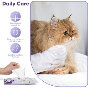 Sinh Thái Thân Thiện Hữu Cơ Rử<span class=keywords><strong>a</strong></span> Miễn Phí Chó Và Mèo Pet Làm Sạch Khăn Lau Ướt Găng Tay Găng Tay Với Drop Shipping Nhự<span class=keywords><strong>a</strong></span> - Product Image 5