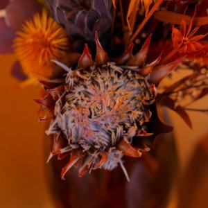 Commercio all'ingrosso della fabbrica immortale infinito eterno per sempre <span class=keywords><strong>rose</strong></span> stabilizzato bouquet di fiori secchi In vaso decorazione di diserbo per la casa - Product Image 6