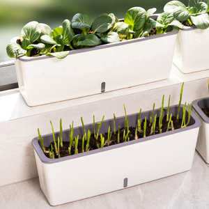 Grand pot auto-arrosant étroit en plastique avec fenêtre de visualisation du niveau d'eau <span class=keywords><strong>pour</strong></span> la culture de légumes et de plantes sur <span class=keywords><strong>balcon</strong></span> domestique - Product Image 2