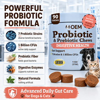 Friandises à mâcher probiotiques et prébiotiques pour chiens et chats, soutien digestif, santé intestinale, supplément, friandises molles, nutrition animale, fabricant OEM