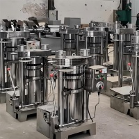 Presse à huile hydraulique à froid, petite presse à huile, équipement de traitement de l'huile de noix et d'avocat, type presse à froid haute pression
