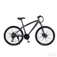 Vélo de montagne en acier à haute teneur en carbone de 26 pouces, bicyclette, bicicleta, système de frein à disque double, avec 21 vitesses, VTT pour le cyclisme