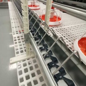 Système d'alimentation et d'abreuvement automatique pour poulets – Équipement pour poulets de chair, reproducteurs et volailles – Ligne d'alimentation en chaîne pour mangeoires à cloches - Product Image 4