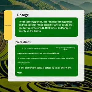 Engrais foliaire DAP pour maïs, renforcement des semis, prévention de l'amincissement des épis, augmentation du rendement - Product Image 2