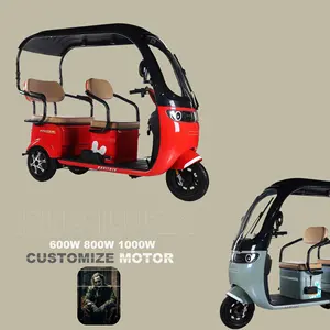 1000W Electric Tricycle For 3 Persons Bicycle 3 Wheel Tricycle Cargo Electric Passenger Tricycles Electric 3 Wheel Scooters