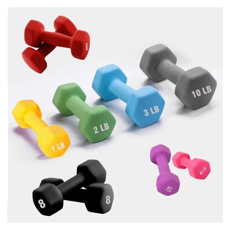 경량 체육관과 사무실 보디 빌딩 훈련 색깔 Dumbbell 6 각형 디자인 가정 적당 장비