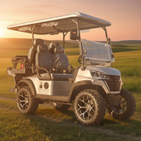 Voiturette de golf électrique personnalisée homologuée pour la route, voiturette de golf tout-terrain haute vitesse