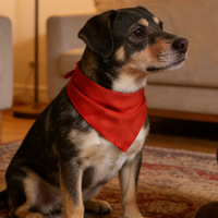 Bandanas pour chiens en polyester classiques d'hiver écologiques imprimés sur mesure pour plusieurs tailles