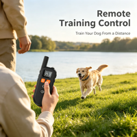 1000M Ferngesteuertes Hundetrainingshalsband 3 Trainingsmodi Wiederaufladbar USB IP67 Wasserdicht Vibration Elektroschock gegen Bellen