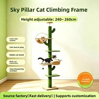 Arbre à chat et griffoir tout-en-un, jouet pour chat, meuble pour chat