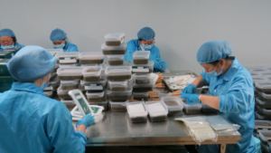 Meistverkaufte QiaoFuSheng Muskel- und Gelenkschmerzen Schwellungscreme & Massagecreme mit anderen Kräutern 30g für Ganzkörperpflege - Product Image 5