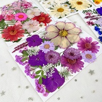 ZS038 Vente en Gros Plantes Naturelles Déshydratées DIY 25 Pièces Fleurs Séchées Pressées pour Résine Cadeaux de Festival Décoration