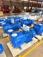Pompa Vakum Cincin Cair FORYOU 2BV2061 0.86 M³/menit 3300 Pa CE Pompa Industri untuk Pengolahan Kimia