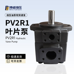 Fournisseur direct d'usine de pompes à aubes PV2R1, pompes hydrauliques à engrenages en spécifications complètes (6/8/10/12/14 ml/r) - Product Image 3