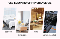 Huile de parfum fine à l'huile de baie de sureau, concentré de parfum inspiré des créateurs, senteur boisée fraîche pour la création et le mélange de parfums de luxe