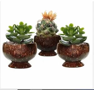 Maceta con Forma de Cáscara de Coco, Hecha a Mano, Ecológica, Natural, para Plantas de Interior, Decoración de Jardín, al por Mayor - Product Image 3