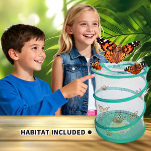 Kit de culture de papillons d'extérieur, jouet éducatif STEM en plastique pour enfants, découverte de la <span class=keywords><strong>nature</strong></span>, apprentissage scientifique, ensembles de filets de capture d'insectes - Product Image 4