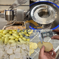 Industriële centrifugale snijmachine voor groenten en aardappelchips, voor thuis- en restaurantgebruik, hoge capaciteit 1000kg/uur verwerkingsmachine