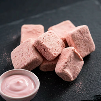 100% Pure Gedroogde Aardbeien Yoghurtblokjes Zonder Toevoegingen