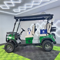 Voiturette de golf électrique à batterie lithium pour adultes, certifiée DOT, à énergie solaire, 3-4 places, buggy de route et de plage, 48V MMC 4-7.5KW, 25MPH