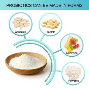 AMULYN fábrica fornecimento probiótico Lactobacillus Plantarum pó para saúde digestiva intestinal - Product Image 2