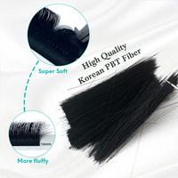 0.05mm C D Curl 8-18mm Extensions de cils Fournitures Mix Easy Fan Blooming Lashes Single Private Label Lash Extension Trays