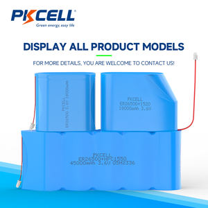 PKCELL ER26500 OEM 리튬 배터리 팩 7.4v 9.6v 18v 24v 36v 48v 72v 12v 배터리 팩 - Product Image 2