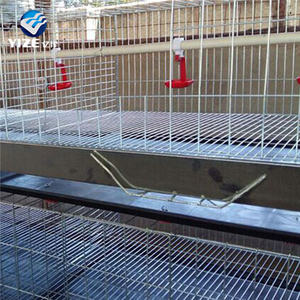 กรงเลี้ยงไก่สำหรับเด็กใช้แบตเตอรี่สำหรับเพาะปลูกลูกไก่ - Product Image 5