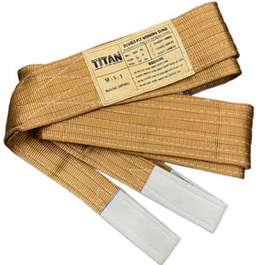 Provina 6 tonnes 100% polyester oeil à oeil sangle plate élingue de levage robuste facteur de sécurité haute résistance 4:1 longueur personnalisée - Product Image 1