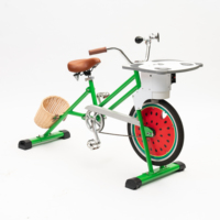 Bicicleta Generadora de Energía a Pedal Híbrida EXI 2026, Capacidad de Carga de 90 kg, Fácil de Usar, Bicicleta Monociclo para Niños con Carga para Teléfono
