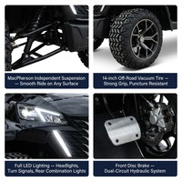 Carrito de Golf Eléctrico Tarion con Diseño 4+2 para 6 Pasajeros, Motor de CA de 4kW, Suspensión MacPherson, Audio, Freno Hidráulico, 35KM/H, 90km de Autonomía