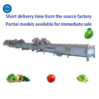 Reinigingsmachine Automatische Fruit En Groente Bubbel Wasmachine