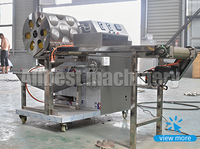 Machine de fabrication de rouleaux de printemps, entièrement automatique, pour les crêpes, éthiopienne, pour les petites entreprises
