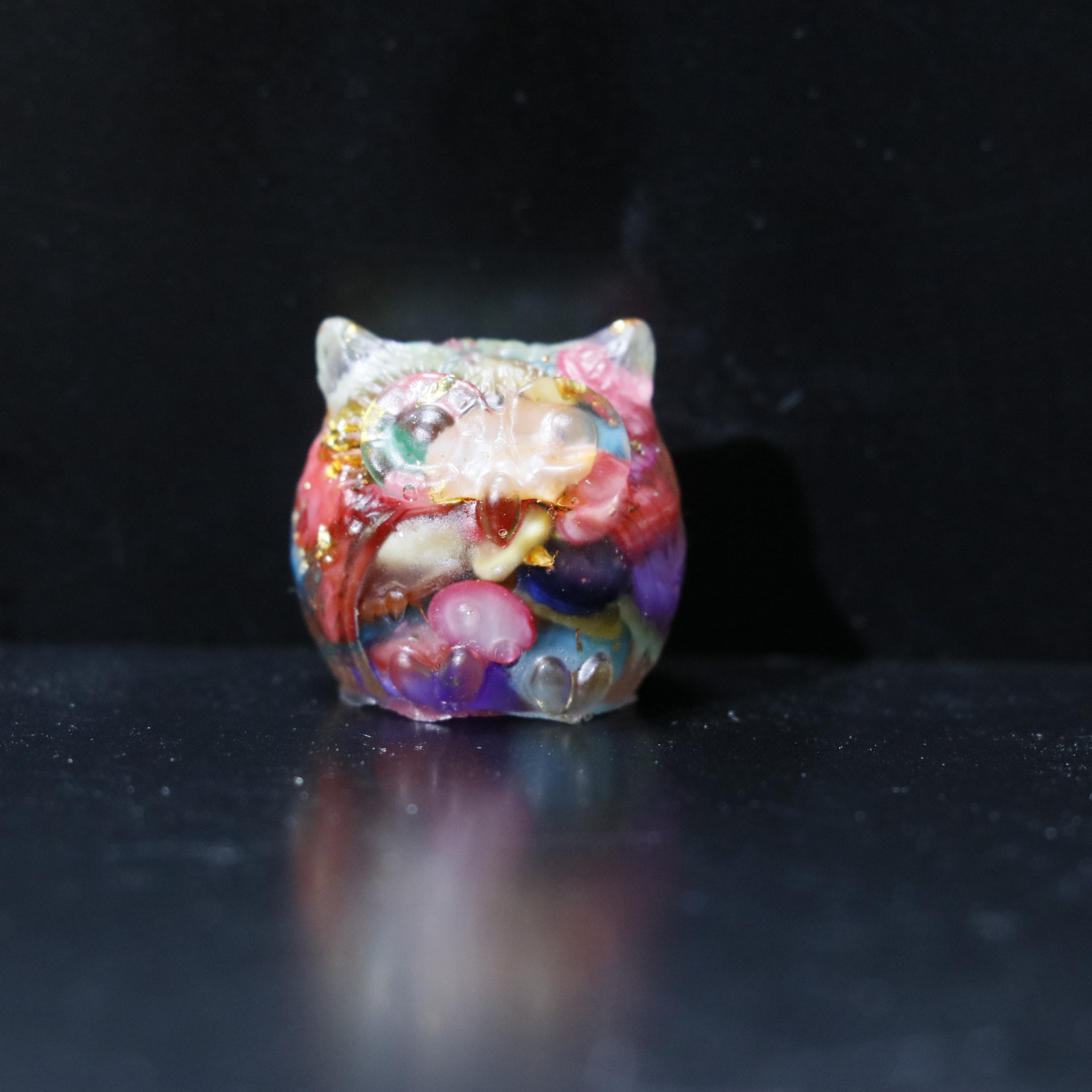 coquille colorée