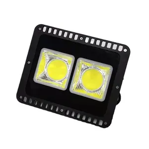 Outdoor Cheap Led Flood Light IP65 Wireless Control Dimmable Outdoor Luminous Auto Body Used By Theme Park Etc