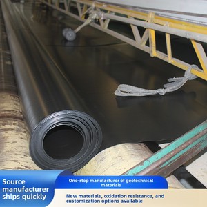 Géomembrane HDPE imperméable pour étangs à poissons, réservoirs, canaux fluviaux, applications d'aquaculture et de décharges en Chine - Product Image 4