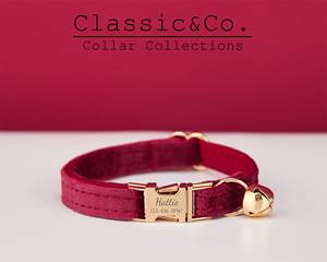 Bury Veet Personalized Cat & Small Dog Collar Bow <b>Tie</b> Leash Set,Free Engraved Kitten Puppy Name Tag,Gold Bell,Pet Birthday Gift - Product Image 2