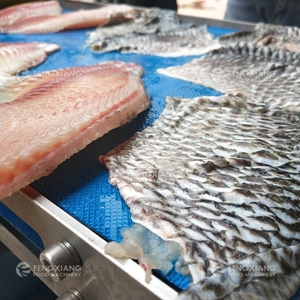 Máquina de filetear pescado automática, máquina de procesamiento de corte y pelado de escamas - Product Image 6
