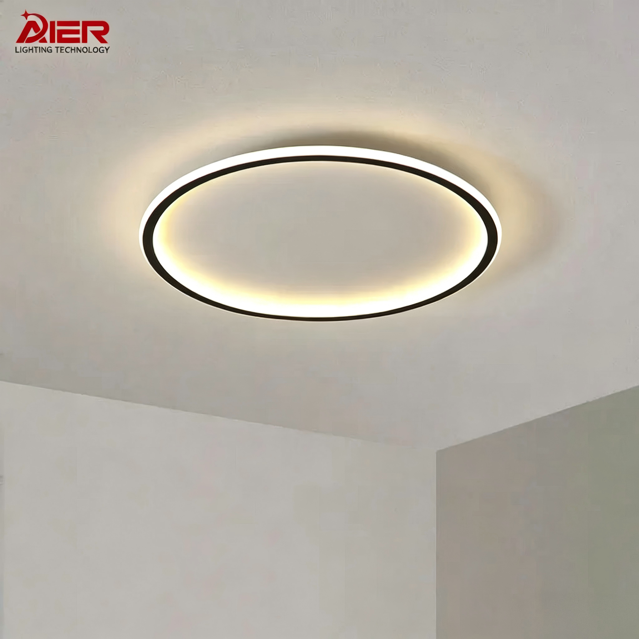 Modern Indoor Lighting 38W 50W 60W Ultra Thin Modern Minimalist Pendant Lamp Round New Led Ceiling Lamp for Living Room Bedroom