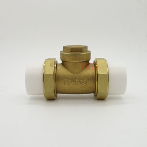 Vanne de retenue en laiton PPR DN20 DN25 DN32 avec joint en silicone, vanne unidirectionnelle pour système d'eau - Product Image 4