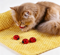 Jouet pour animaux de compagnie en laine de Nouvelle-Zélande 100% naturelle, feutré à la main, jouet à mâcher en laine naturelle, jouet interactif écologique pour chats