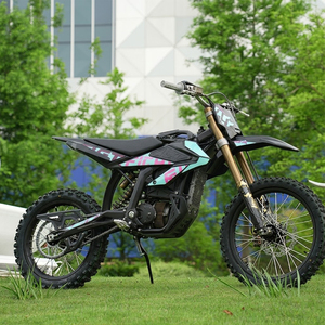 Motocicleta Eléctrica Juvenil Woodland Riding 2026 185n.m Alto Torque 1. Potencia Aumentada, Rendimiento de Aceleración Mejorado 0-30 Km/h - Product Image 5