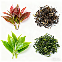 Séchoir à feuilles de thé professionnel Machine tambour rotatif four de séchage humidité réglable pour thé vert thé noir