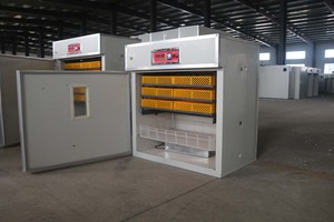 Hoàn toàn tự động 200 1500 gà lồng ấp trứng Máy Ấp Trứng chim cút lồng ấp trứng giá - Product Image 4
