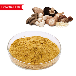 Органический порошок гриба Львиная грива, экстракт гриба Львиная грива, порошок Львиныей гривы, индивидуальная упаковка - Product Image 3